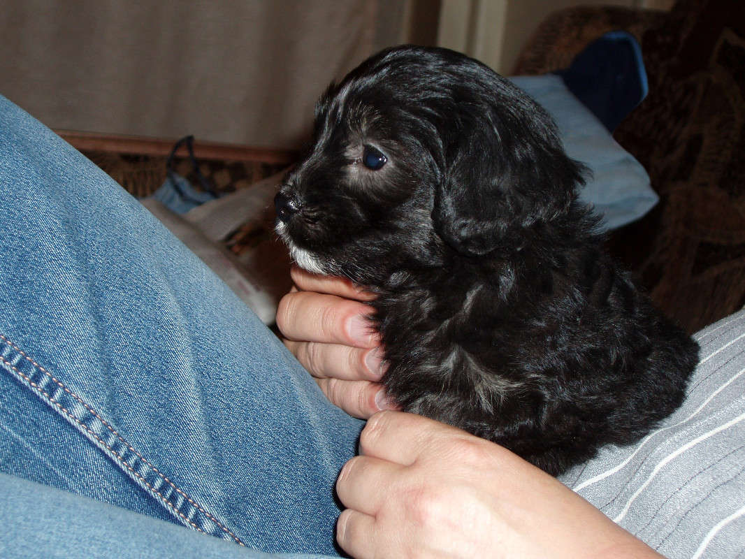 ����� ���� ����� ���������  �� PhotoGeek.ru #�������� ��� #�������� ���