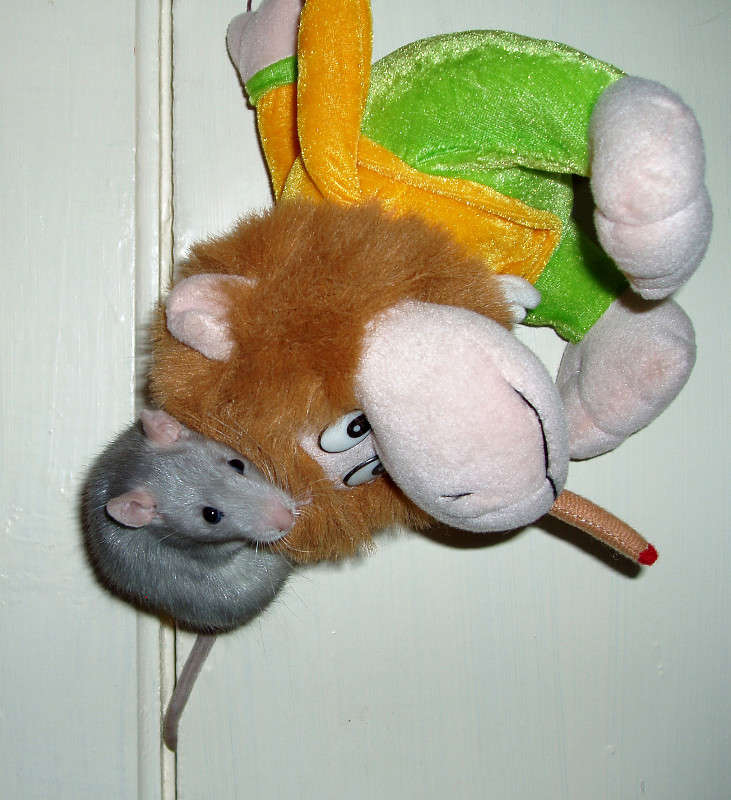 ������� ����!!! ����� ���������  �� PhotoGeek.ru #�������� ��� #�������� ���