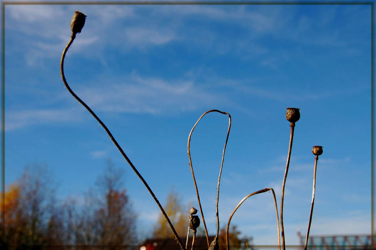 ��������� ����� ���������  �� PhotoGeek.ru #������ ��� ������� #����� ��������������