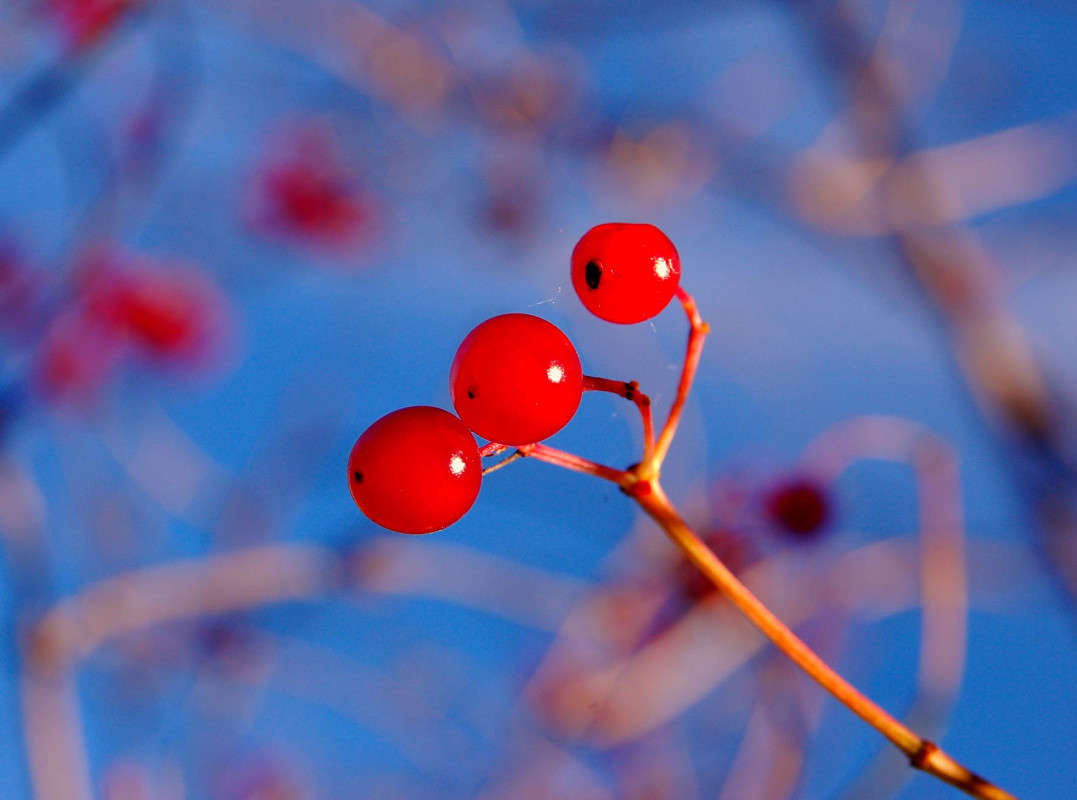 ������� �������� ���� �������� ����� ���������  �� PhotoGeek.ru #����� #����� ��������������