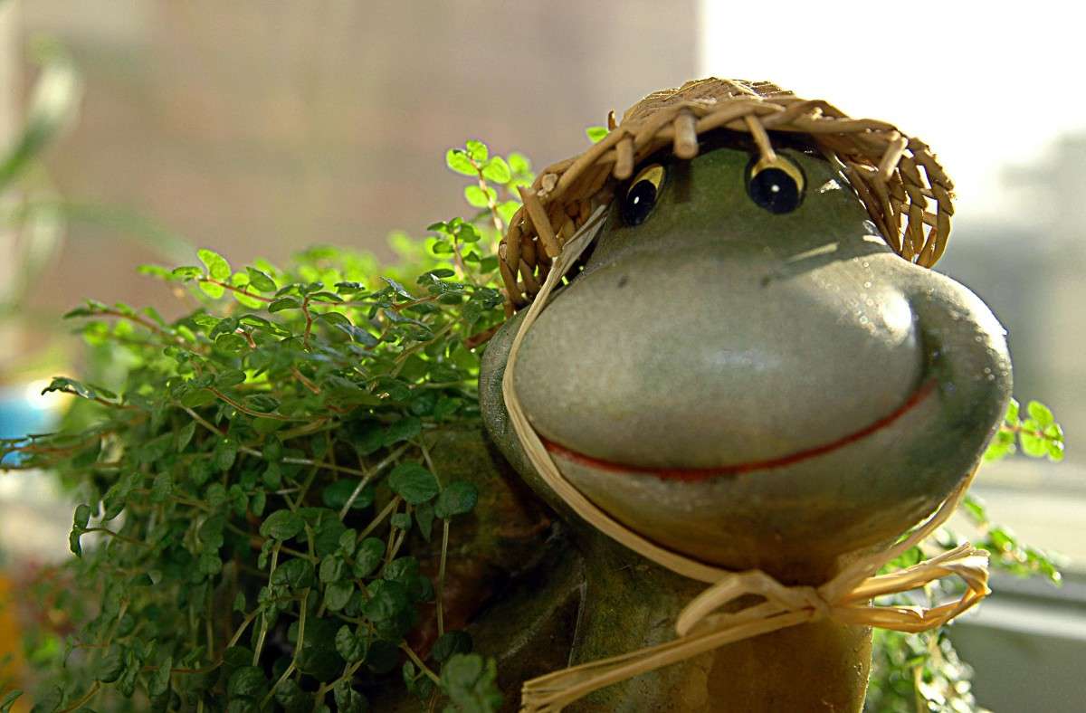 �� ������ ������ ���� ������� ����� ���������  �� PhotoGeek.ru #�������