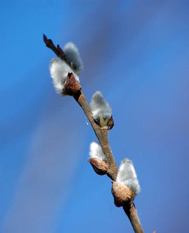 ������ ��������� �����... ����� ���������  �� PhotoGeek.ru #������ ��� ������� #����� ��������������