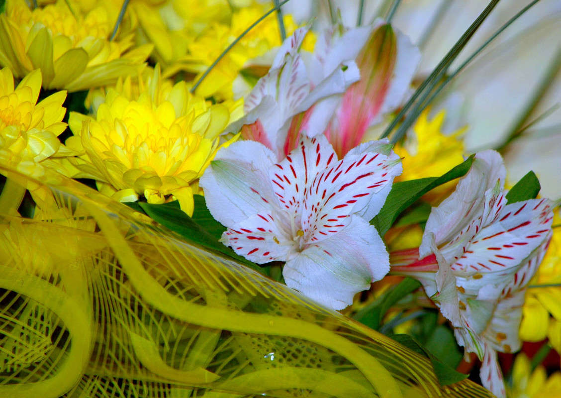 ���������� ������� ��������� ����� ���������  �� PhotoGeek.ru #������ ��� ������� #����� ��������������