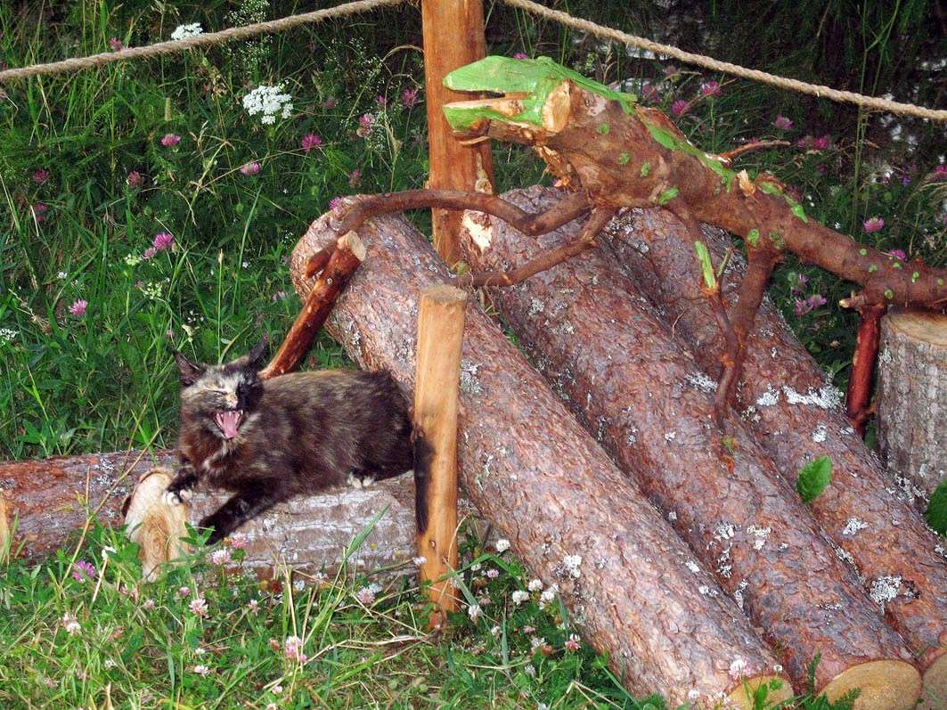 �-�-�!!! ����� ���������  �� PhotoGeek.ru #�������� ��� #����� ��� ��� ���������