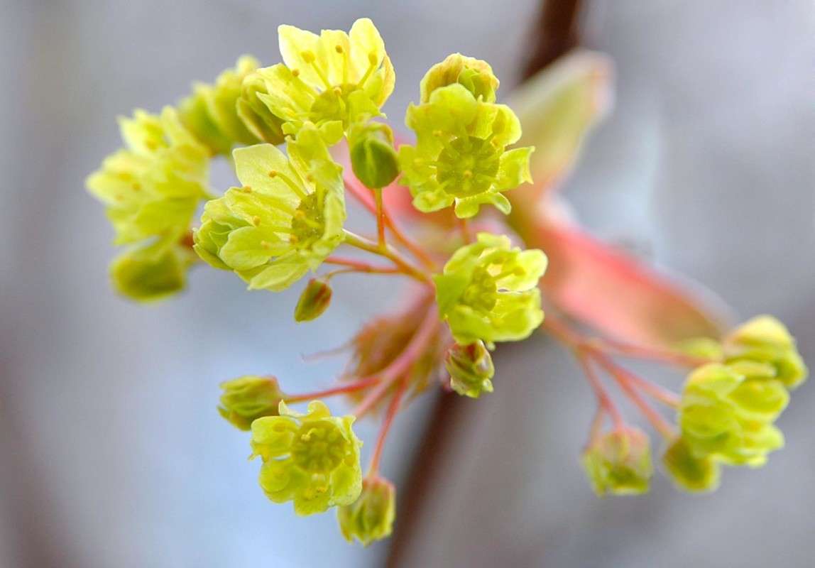 �������� ����� ���������  �� PhotoGeek.ru #������ ��� ������� #����� ��������������