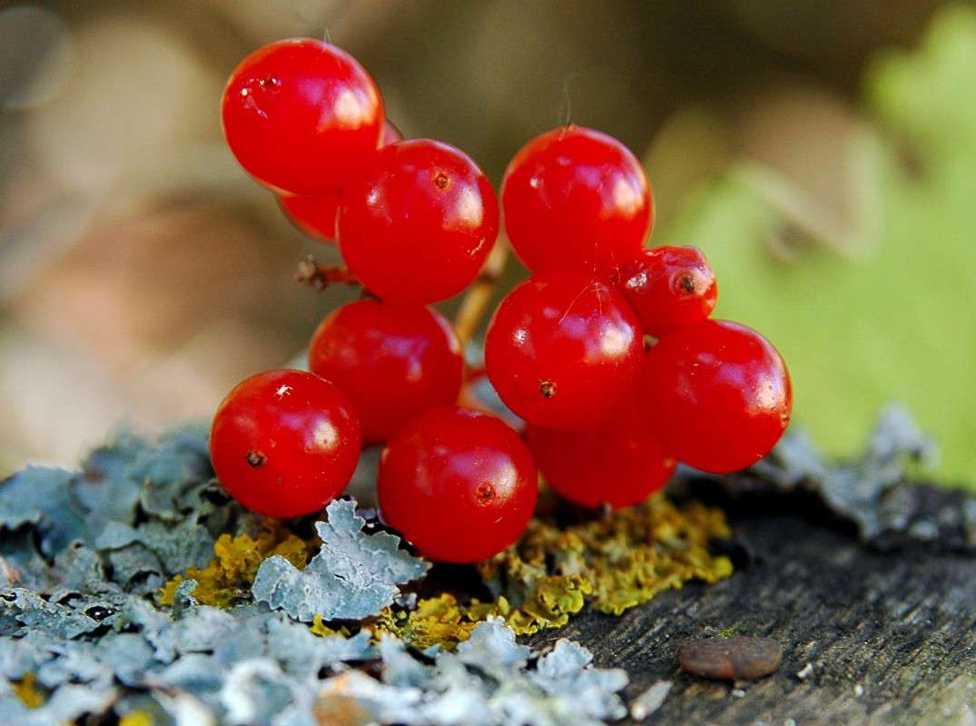 ������ ������� ����� ���������  �� PhotoGeek.ru #������ ��� ������� #����� ��������������