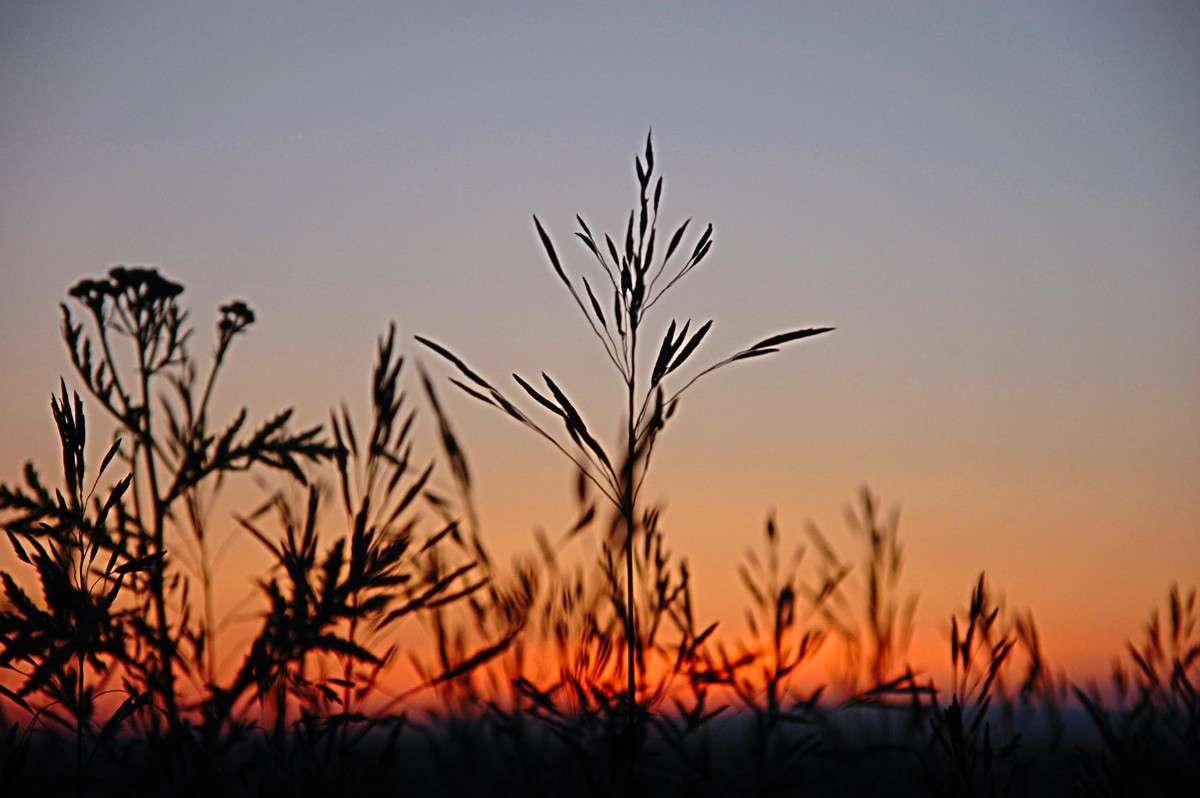 �������� ����� ���������  �� PhotoGeek.ru #������ ��� ������� #����� ��������������