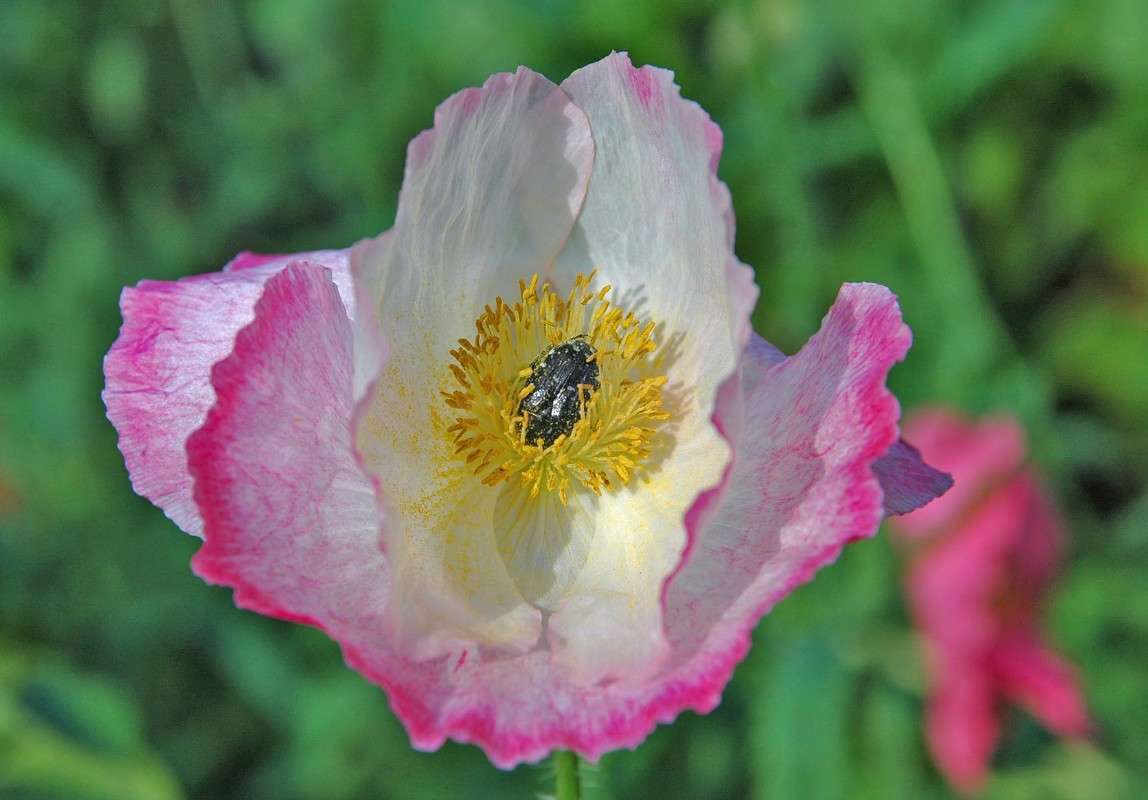 �������� ����� ���������  �� PhotoGeek.ru #������ ��� ������� #����� ��������������