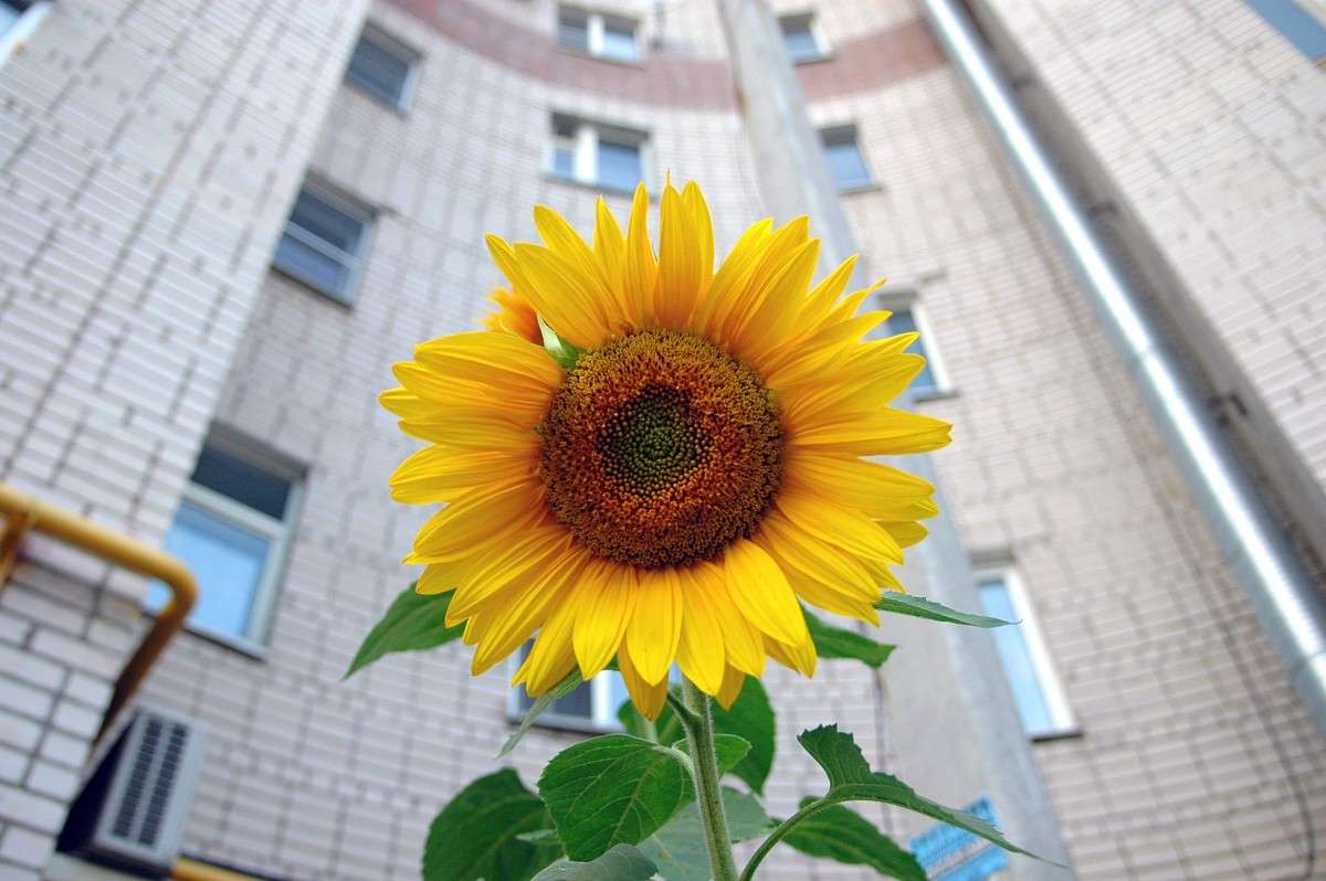 ��������� ��������� ����� ���������  �� PhotoGeek.ru #����� #��������� ������