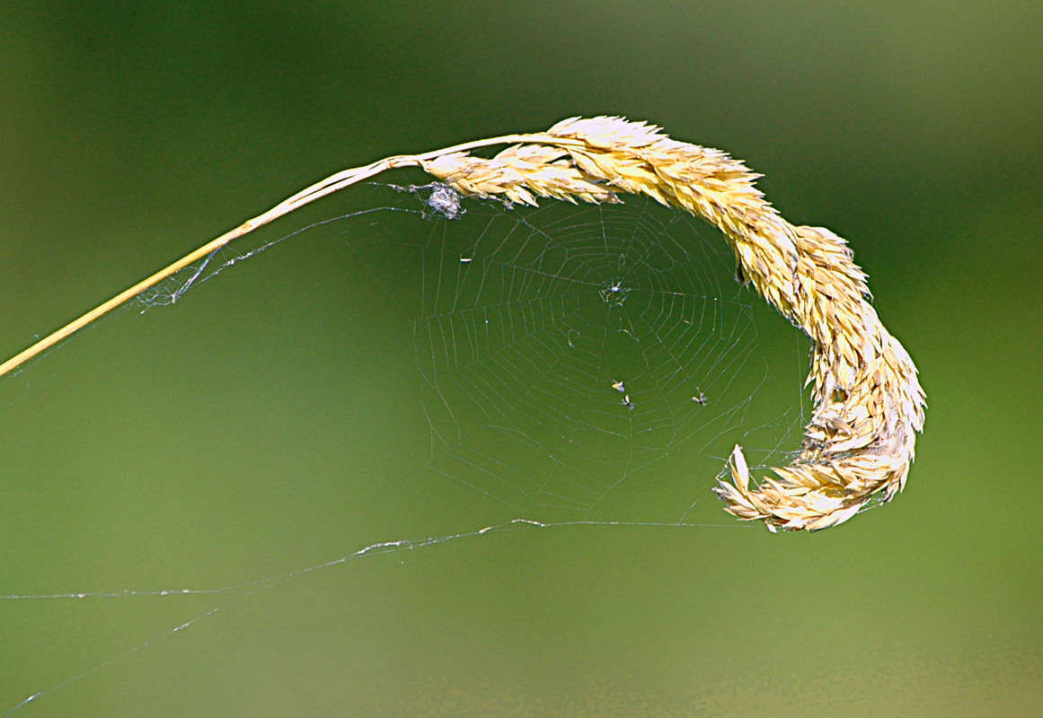 ������ ����� ���������  �� PhotoGeek.ru #������ ��� ������� #����� ��������������