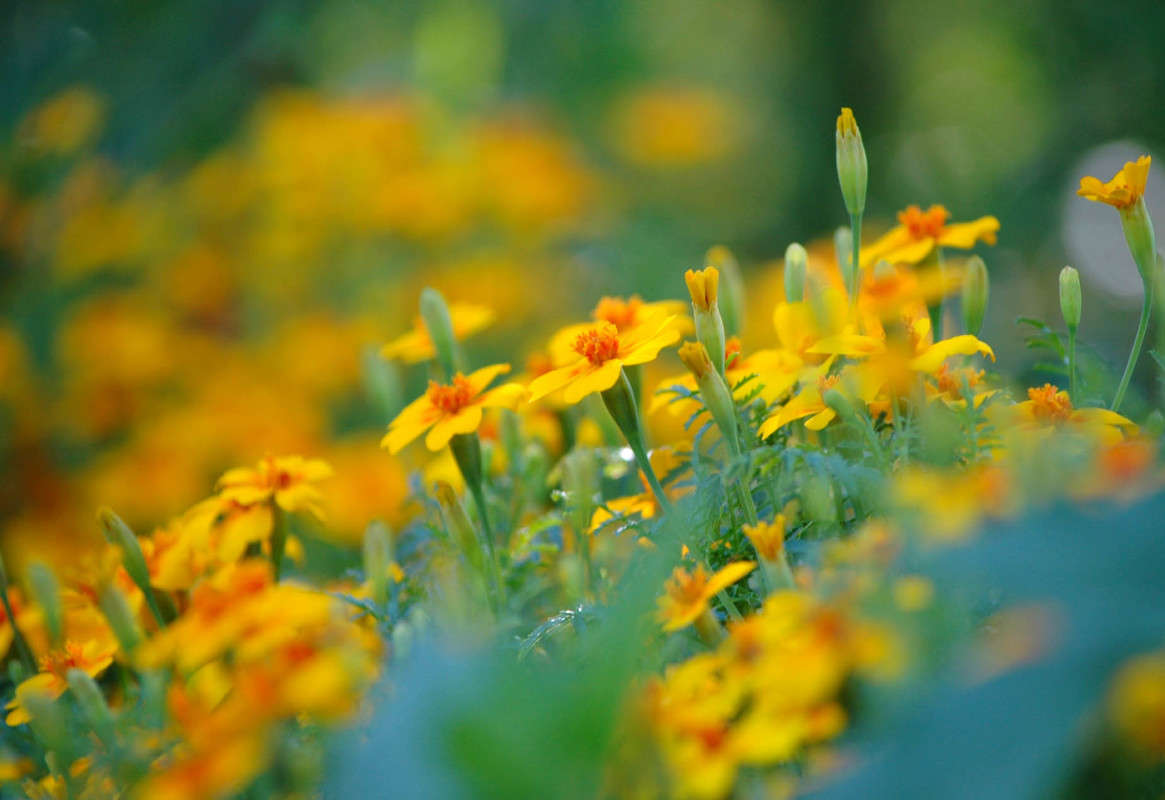 ... ����� ���������  �� PhotoGeek.ru #������ ��� ������� #����� ��������������