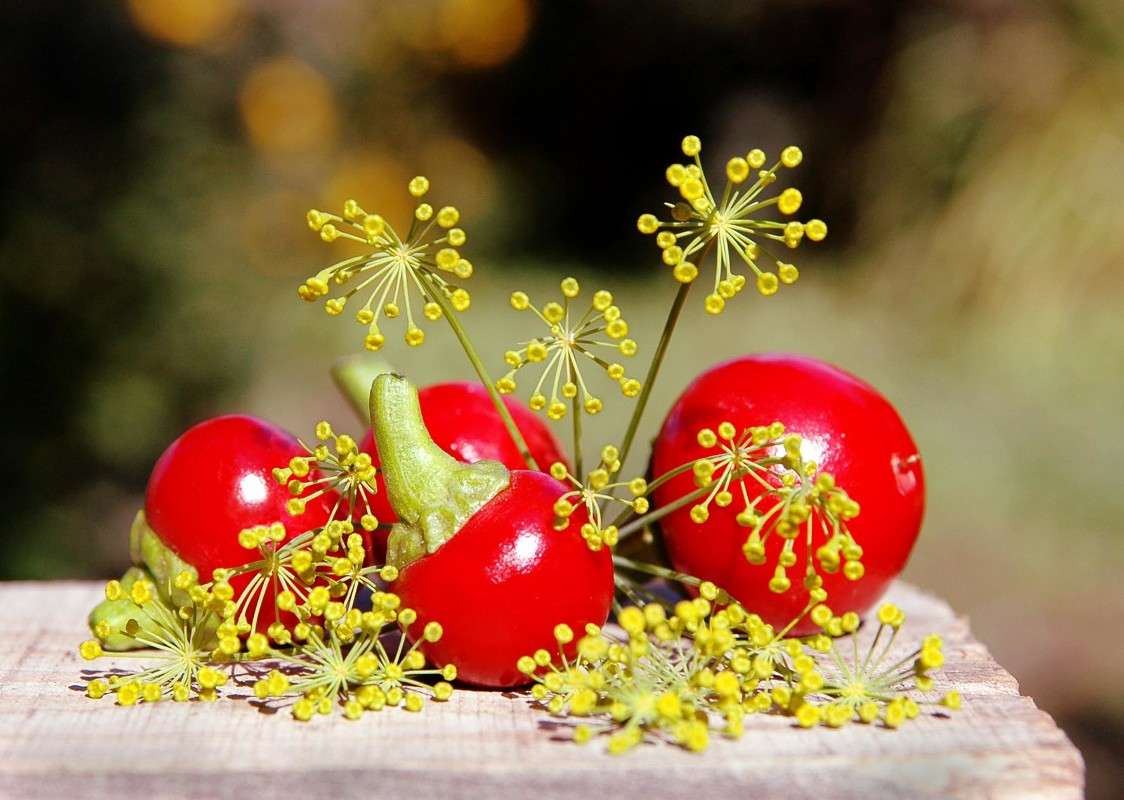 �� ����� ������ ����� ���������  �� PhotoGeek.ru #������ ��� ������� #����� ��������������