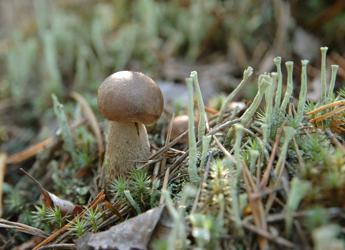 ����������� ����� ���������  �� PhotoGeek.ru #������ ��� ������� #����� ��������������