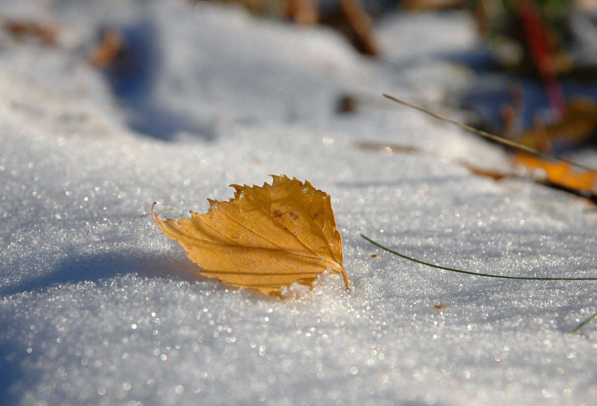 ���� ������ ����� ���������  �� PhotoGeek.ru #�����