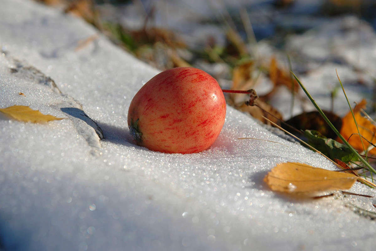 ������ �� ����� ����� ���������  �� PhotoGeek.ru #������ ��� �������