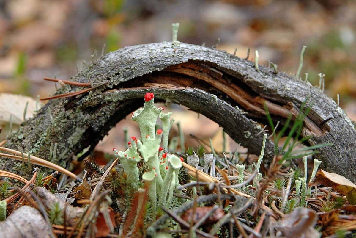 ��� ������, ��� ����� ������ ����� ���������  �� PhotoGeek.ru #������ ��� ������� #����� ��������������