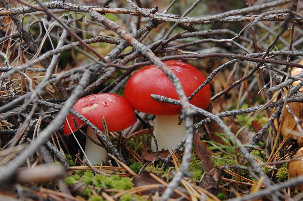 ���������� ����� ���������  �� PhotoGeek.ru #������ ��� ������� #����� ��������������