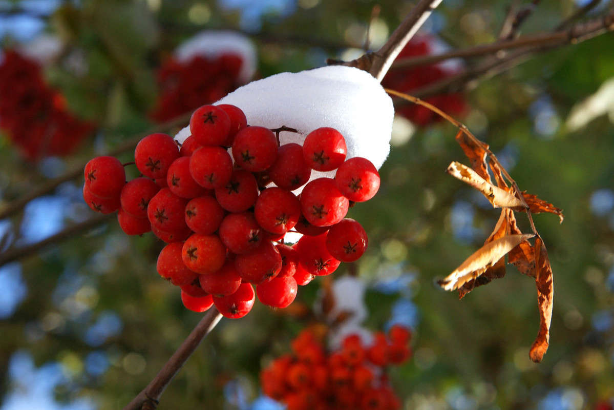 ��� ��� ����� ���� ����))) ����� ���������  �� PhotoGeek.ru #������ ��� ������� #����� ��������������