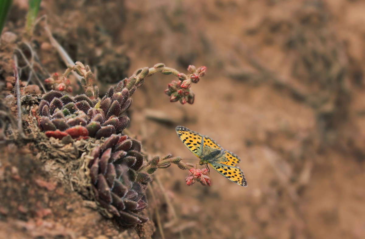 � �������� ������� ����� Katerina *** �� PhotoGeek.ru #������ ��� �������