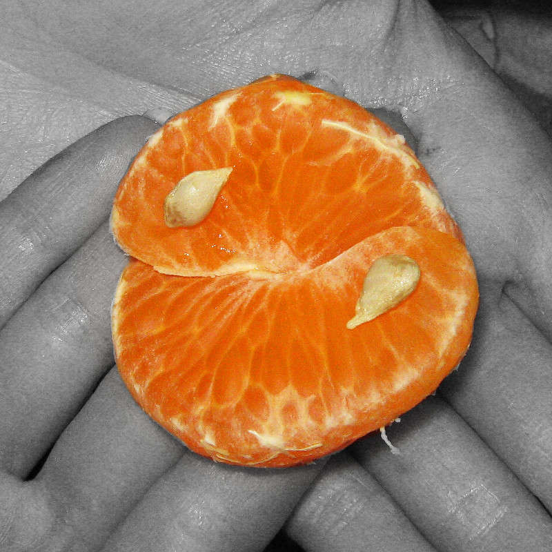 �������� ����� ����� Victoria Zhornik �� PhotoGeek.ru #���������