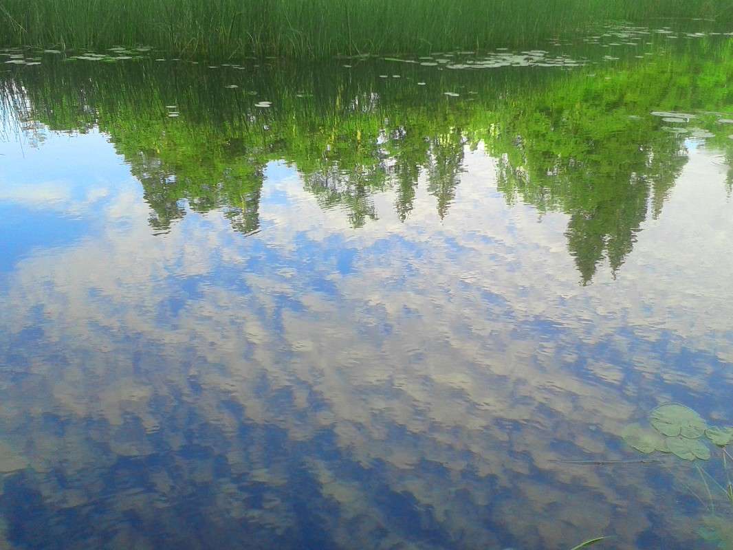 ������� ����� Victoria Zhornik �� PhotoGeek.ru #������ ��� ������� #����� ��������������