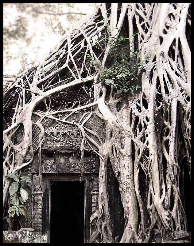 ����� ���������� � ��� ����� Victoria Zhornik �� PhotoGeek.ru #������ ��� ������� #������