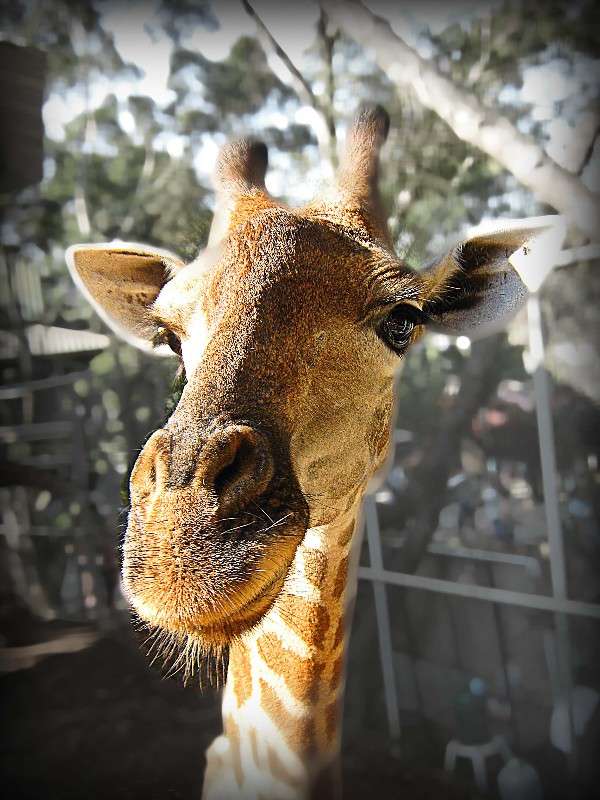 ������� ����� Victoria Zhornik �� PhotoGeek.ru #�������� ��� #�������