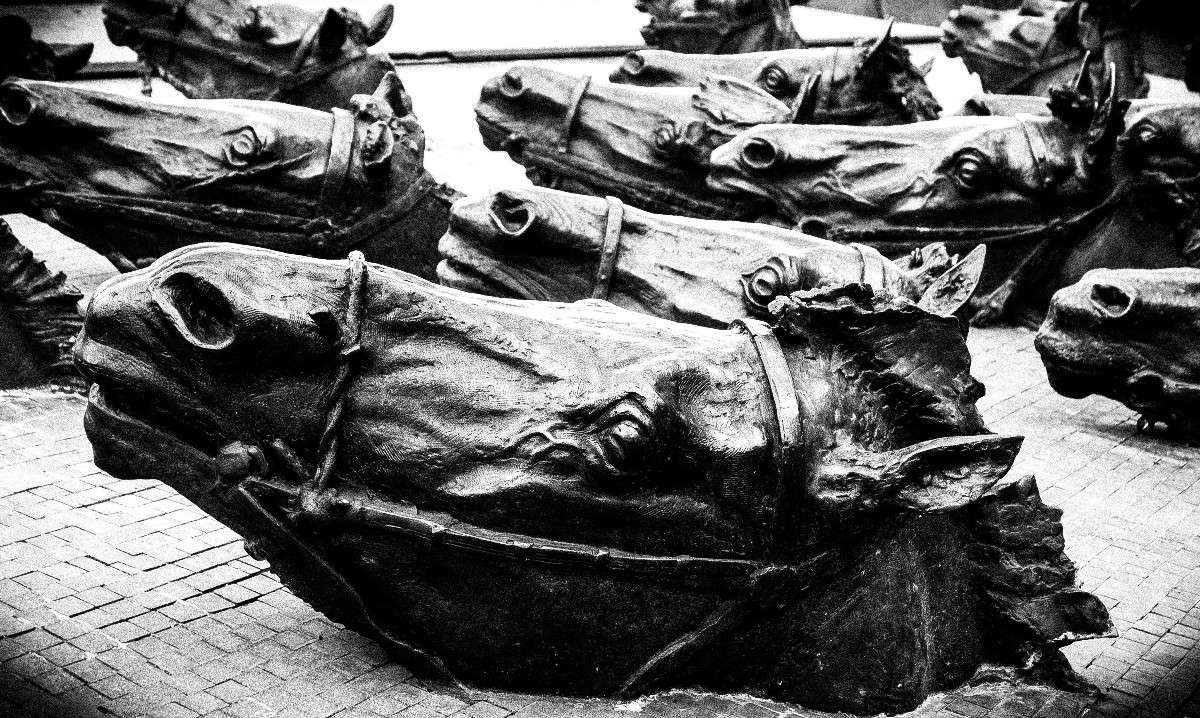 ... ����� Victoria Zhornik �� PhotoGeek.ru #����� #������ ������ #�����-���