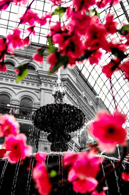 ... ����� Victoria Zhornik �� PhotoGeek.ru #����� #����������� #������ ������