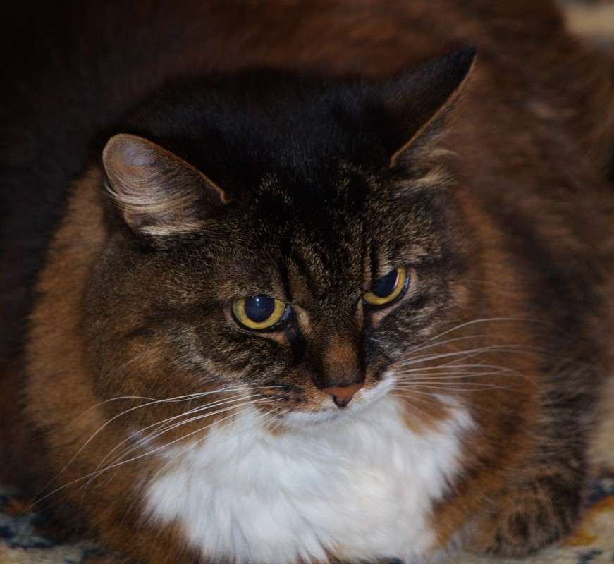 �� ������ ����� ������� ��������� �� PhotoGeek.ru #�������� ���