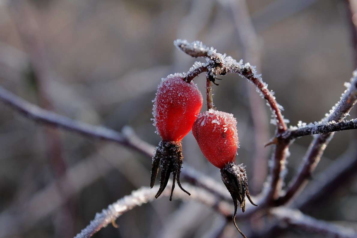 ... ����� ����  �� PhotoGeek.ru #������ ��� ������� #����� ��������������