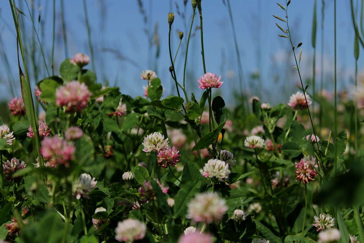 ... ����� ����  �� PhotoGeek.ru #������ ��� ������� #����� ��������������