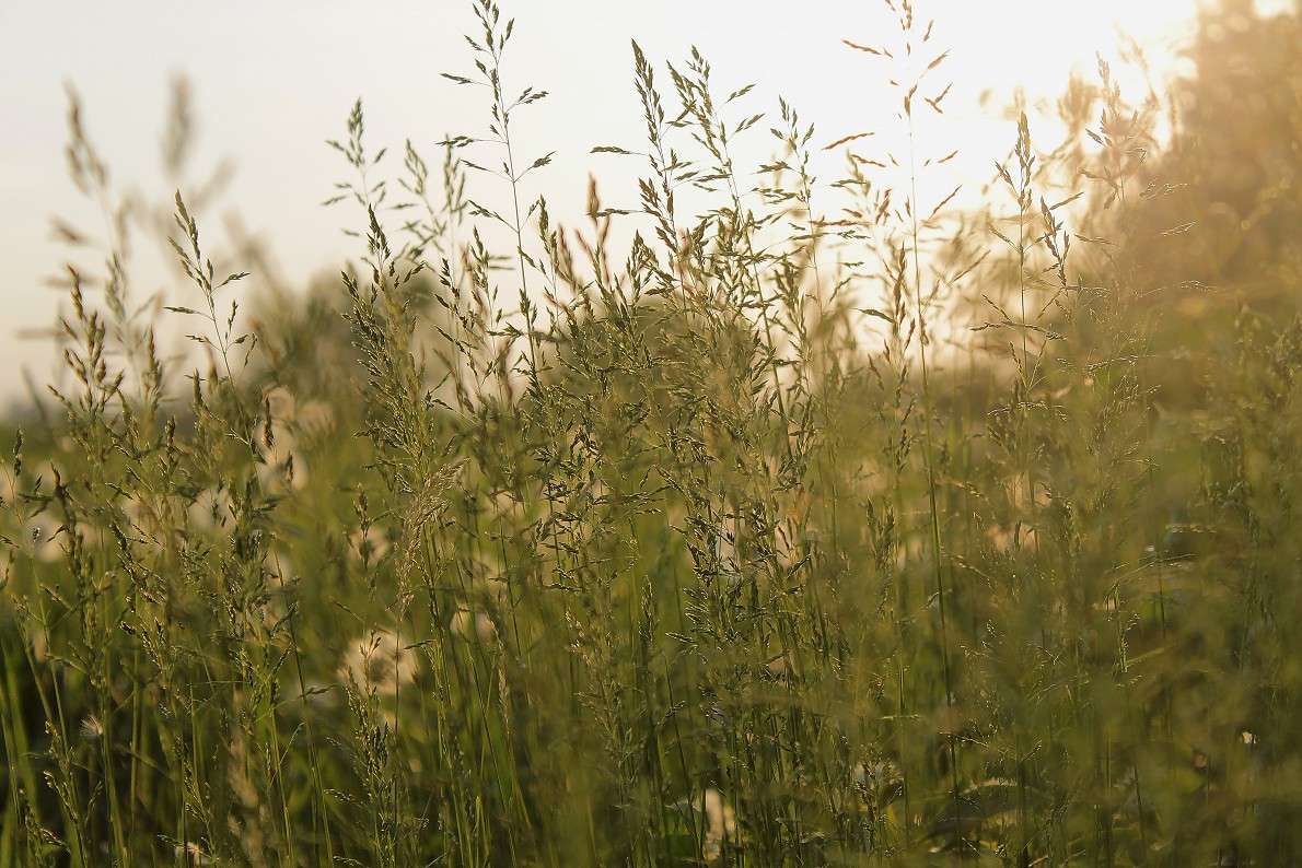 ... ����� ����  �� PhotoGeek.ru #������ ��� �������