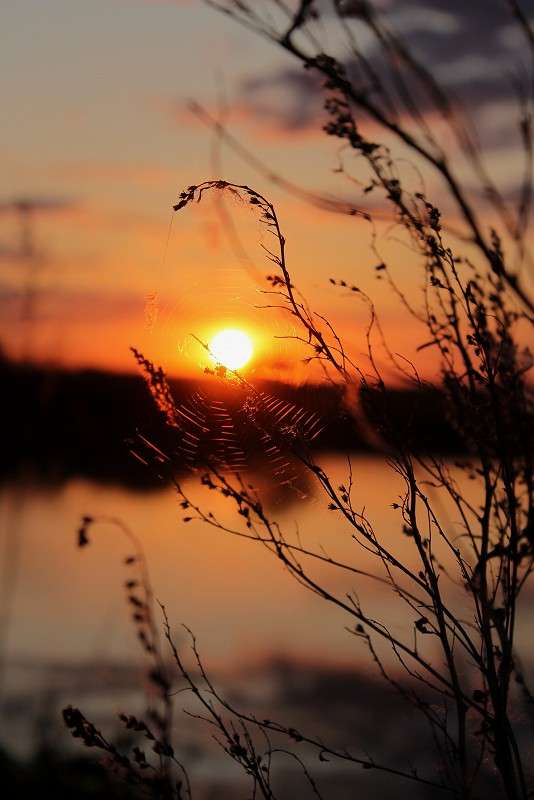 ... ����� ����  �� PhotoGeek.ru #������ ��� �������