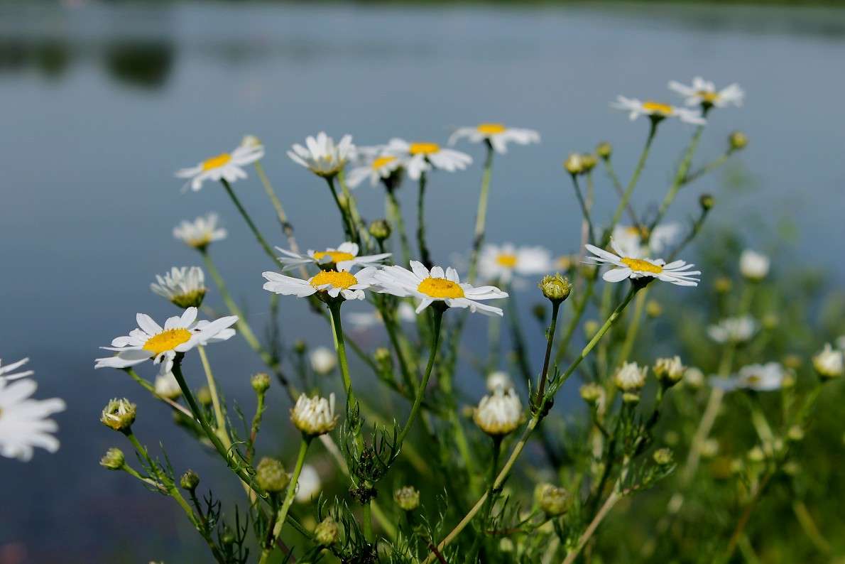 ... ����� ����  �� PhotoGeek.ru #������ ��� �������