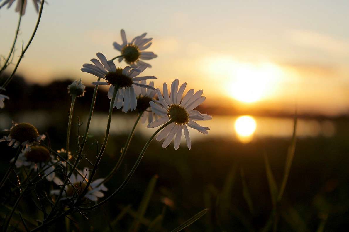 ... ����� ����  �� PhotoGeek.ru #������ ��� �������