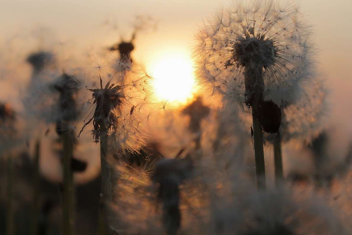 ... ����� ����  �� PhotoGeek.ru #������ ��� �������