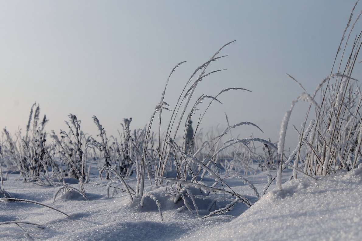 ... ����� ����  �� PhotoGeek.ru #������ ��� �������