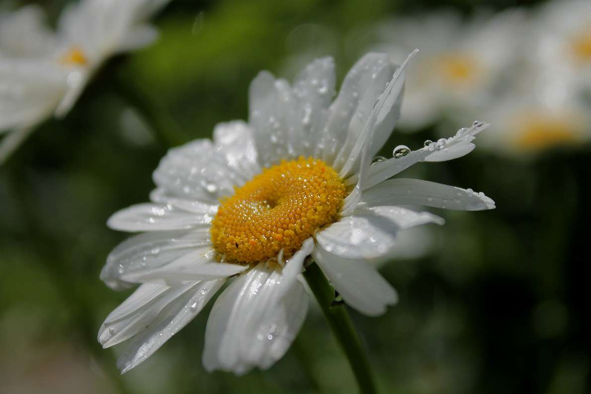 ... ����� ����  �� PhotoGeek.ru #������ ��� �������