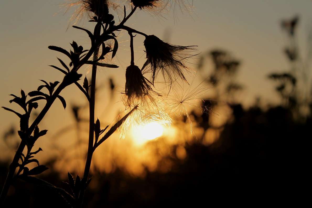 ... ����� ����  �� PhotoGeek.ru #������ ��� �������