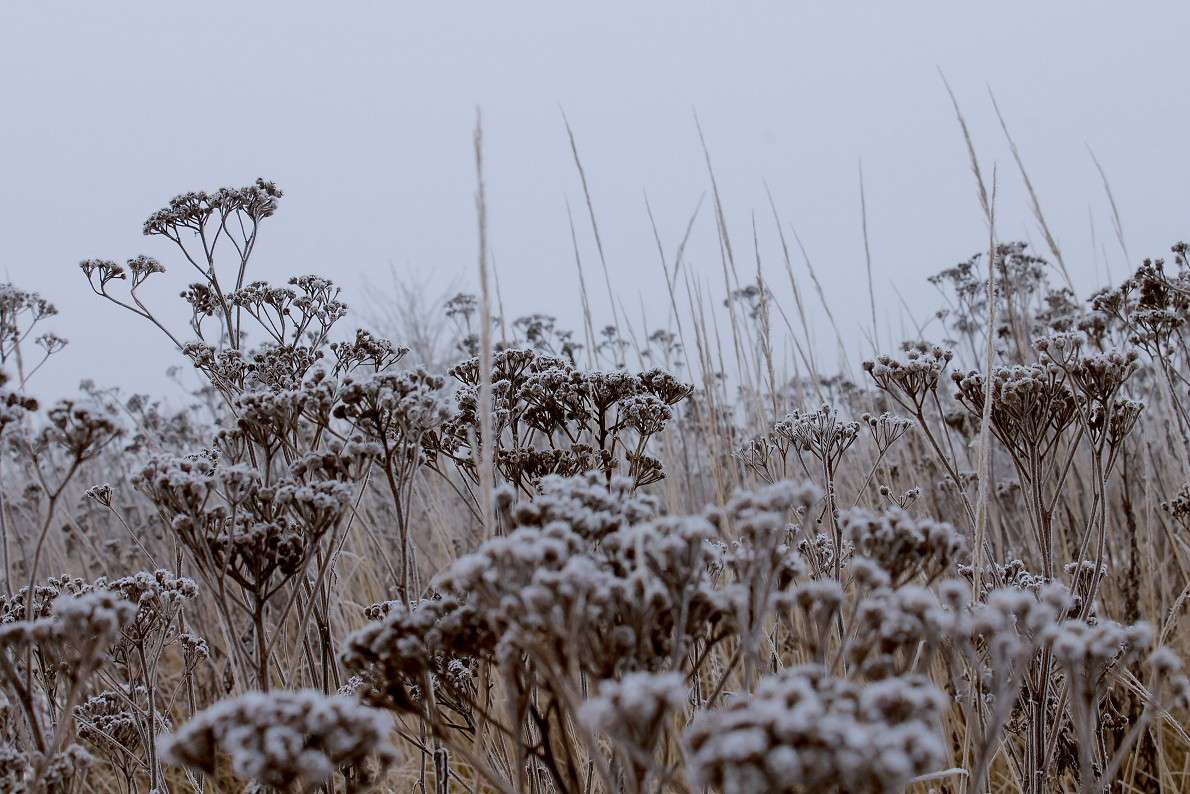 ... ����� ����  �� PhotoGeek.ru #������ ��� �������