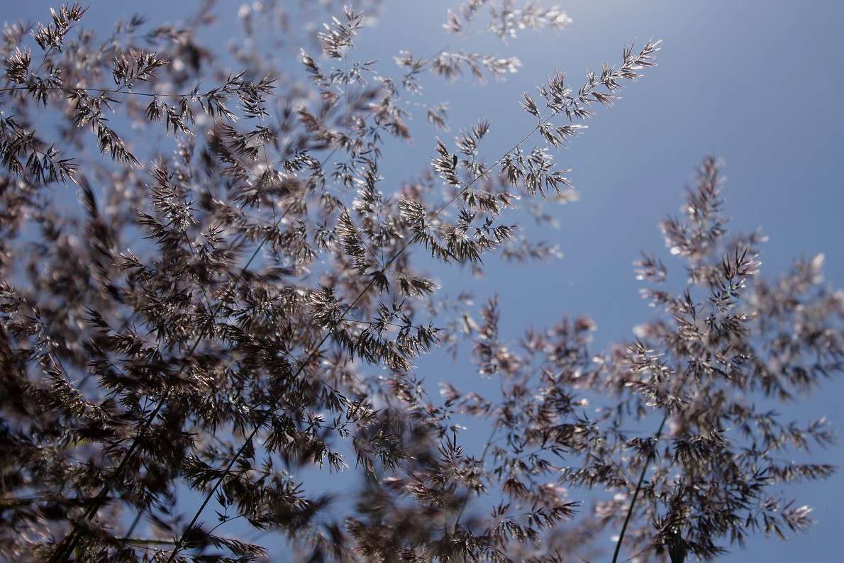 ... ����� ����  �� PhotoGeek.ru #������ ��� �������