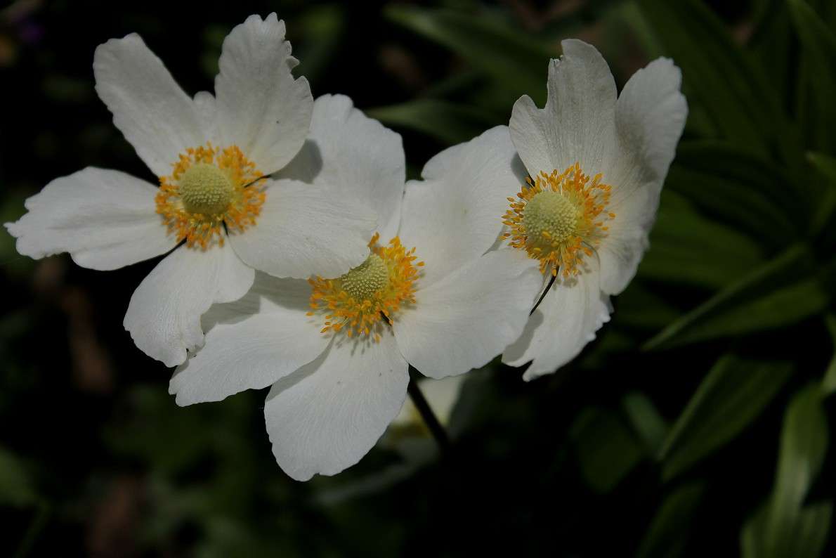 ... ����� ����  �� PhotoGeek.ru #������ ��� �������