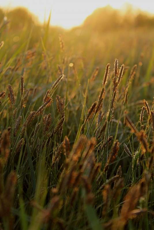 ... ����� ����  �� PhotoGeek.ru #������ ��� �������