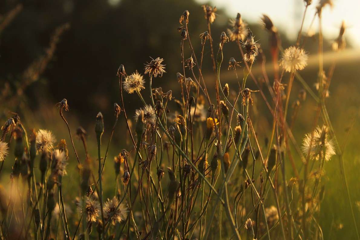 ... ����� ����  �� PhotoGeek.ru #������ ��� �������