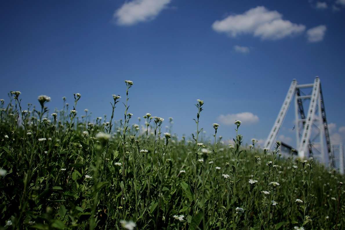 ... ����� ����  �� PhotoGeek.ru #������ ��� �������