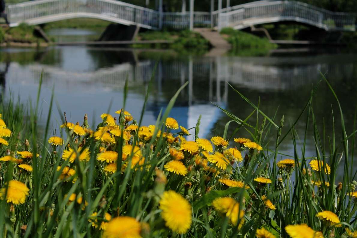 ... ����� ����  �� PhotoGeek.ru #������ ��� �������