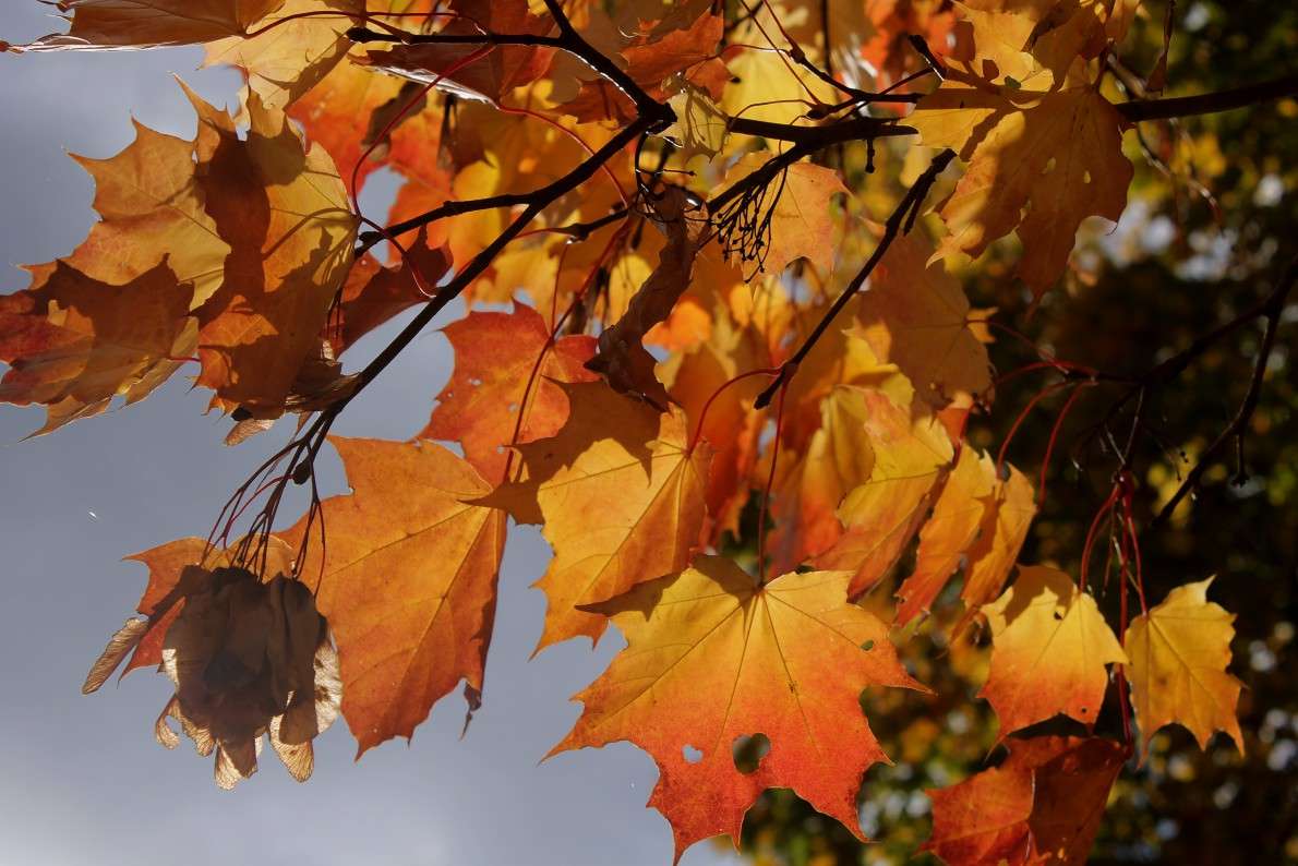 ... ����� ����  �� PhotoGeek.ru #������ ��� �������