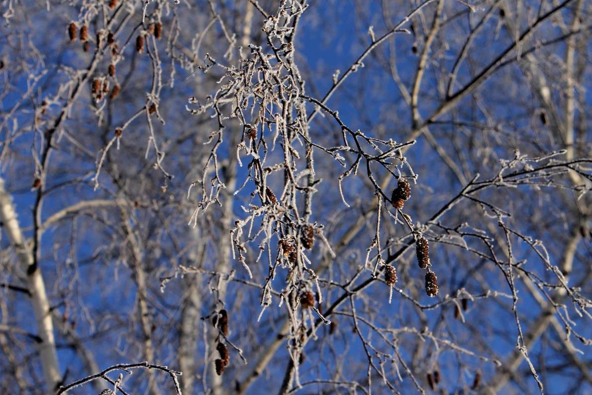 ... ����� ����  �� PhotoGeek.ru #������ ��� �������