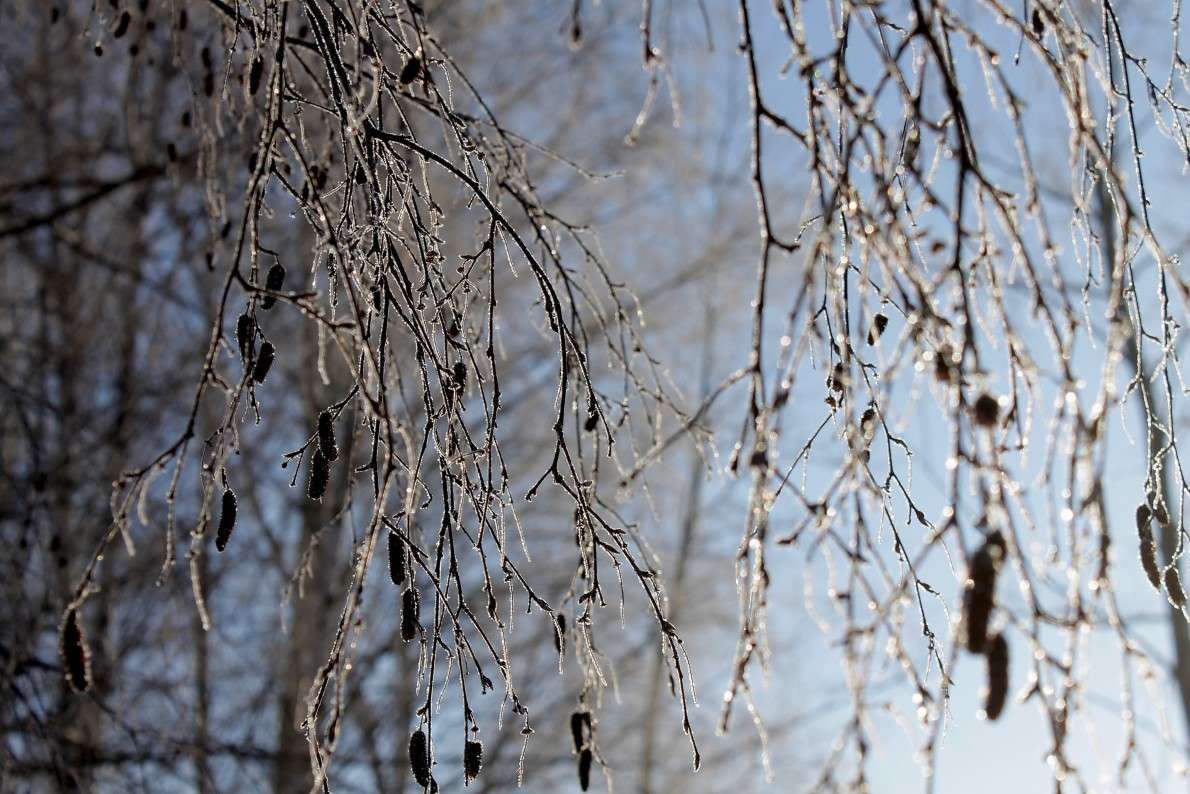 ... ����� ����  �� PhotoGeek.ru #������ ��� �������